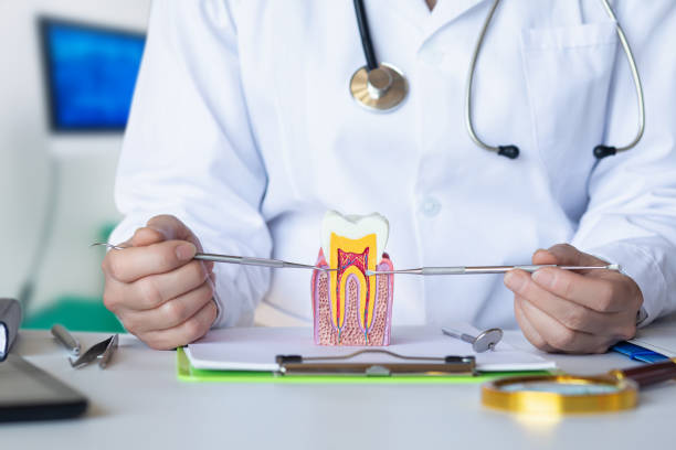 Best Cracked Tooth Emergency Dentist  in Loyal, WI